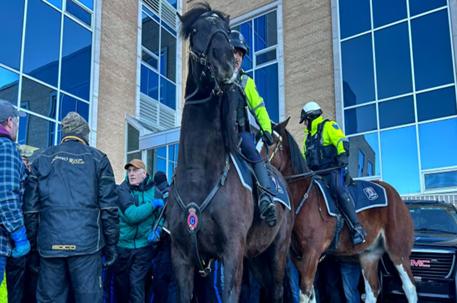 Premier Furey warns of mass arrests as fish harvesters vow to continue protest – CBC NewsGN notes: Islamists can protest all they want, but Canadian fishermen can’t seek free market without threats of imprisonment.