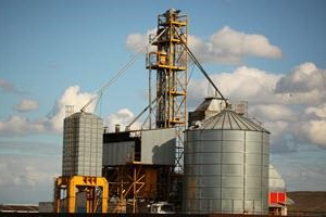 Canadians support carbon tax exemption for farmers – Farms.comGN notes: “The poll is clear: the vast majority of Canadians want the government to get farmers relief from the carbon tax” “70 per cent of those surveyed in favour of the break for producers.”