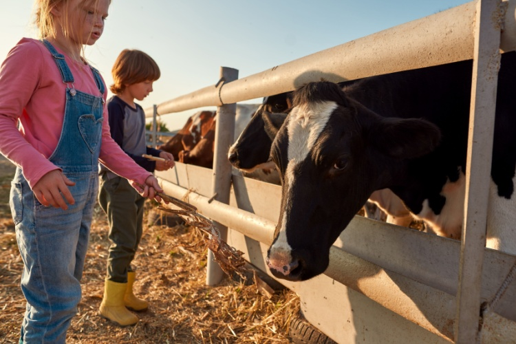 Conservative MP calls out Trudeau’s disdain for farming after gov’t cuts funding for 4-H program – LifeSiteNewsGN notes: MP John Barlow accused the Canadian government and its globalist agenda of actively trying to destroy farmers’ way of life and the hopes for future farmers.