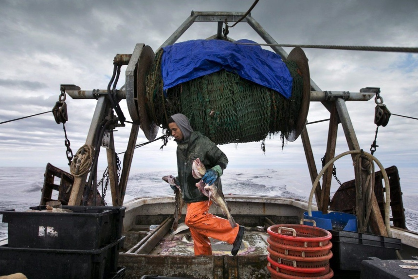 Federal government ends northern cod moratorium in Newfoundland after 32 years – CTV NewsGN notes: On July 1, 1992, Ottawa announced the moratorium which was eventually extended to other groundfish stocks, wiping out more than 30,000 jobs — widely described as the largest mass layoff in Canadian history. Within a year, the entire $700-million enterprise — and a way of life — was gone.  The end of the moratorium is historic.