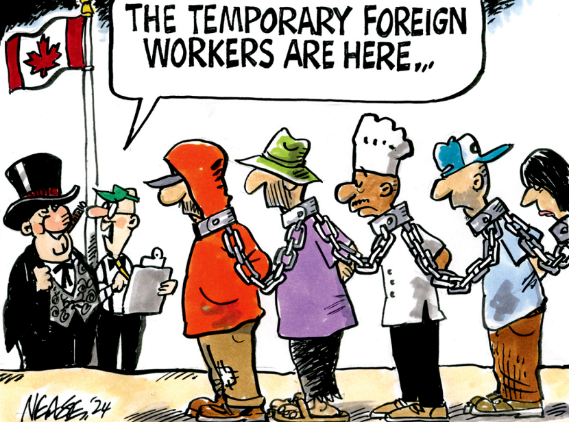 Temporary Foreign Workers – Steve Neese on CagleGN notes: Liberals campaign to be on the side of the working class, but they are there to provide cheap labor for their rich donors, while keeping young Canadians out of work.